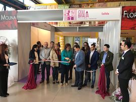 Inauguraci�n Celebralia 2017